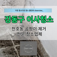 강동구이사청소 천호동 빌라 곰팡이 전문 청소업체
