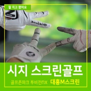시지 스크린골프 골프존파크 대흥M스크린 알파시티 투비전NX