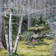 교토 근교 소도시 오하라 산젠인 이끼 정원 가는 방법 및 입장료