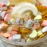 죽전 요거트아이스크림 맛집 요고프로즌요거트 보정동 포장