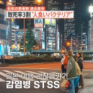 일본 여행 연쇄상구균독성쇼크증후군 STSS 감염병 주의