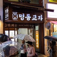 서울 명동 맛집 명동교자 본점 칼국수 만두 저녁식사 밥집
