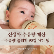 신생아 수유량 계산 늘리기 하루 90일 아기 수유텀