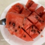 코스트코 과일 추천 수박 고르는법 칼로리 수박 자르는법 6월 제철과일