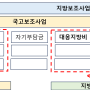 국고(지방)보조금 관련 회계검증 및 회계감사 대상 판단 기준(인천 회계법인)