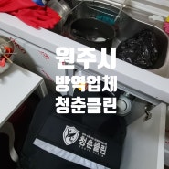 원주시방역업체 가정집 바퀴벌레 출동으로 솔루션했던 후기