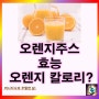 오렌지주스 효능 영양성분 오렌지 칼로리: 아침 공복 주의할 점은?