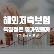 재태크 초보자도 알기 쉬운 해외저축보험의 특장점