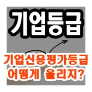 기업신용평가등급 어떻게 올리고 평가할까