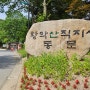 김천 직지사/ 맨발걷기, 소나무숲 - 부항댐 출렁다리- 지례 흑돼지