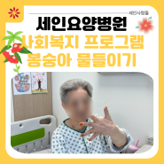 [부산세인요양병원] 봉숭아 물들이기 6월 사회복지 회상 프로그램