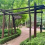 아이와 함께한 서울 계남근린공원 우렁바위유아숲체험장과 우름바위생태연못 산책