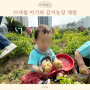 19개월 아기와 감자농장 감자캐기 체험