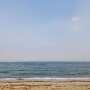 경북 영덕 숨은 해수욕장 하저해수욕장 깨끗하고 맑은 동해 바다
