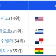 2024.6.20~7.14/ 코파 아메리카 미국