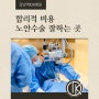 합리적 비용 노안수술 잘하는 곳, 강남역IOK병원 추천
