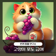 고양이 포도 위험성 중독 증상 대처 방법