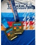 Ottawa International Marathon 2024