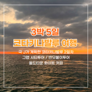 [코타여행] 코타키나발루 3박 5일 - (2일차일정) 핑크모스크 / 블루모스크 / 올드타운 화이트 커피 / 반딧불이 투어 / 맹그로브 / 그랩으로 다녀온 시티투어/투어추천