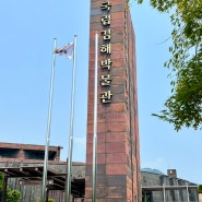 김해 아이와 가볼만한 곳, 국립김해박물관(무료입장)