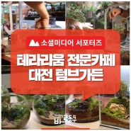 ‘나만의 정원’ 만들어봐요! 대전 테라리움 전문 카페 「텀브가든」
