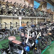 일산파주자전거할인 창고형 자전거 할인매장 프로제이모션 방문 후기