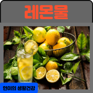 레몬물의 효능 부작용 만들기 칼로리