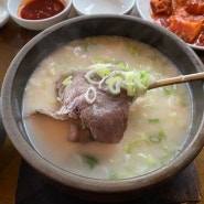 부산여행 먹킷리스트 해운대 맛집 거대곰탕 한우곰탕 내돈내산