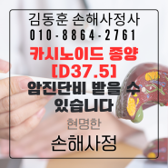 카시노이드 종양 암진단비 분쟁 사유