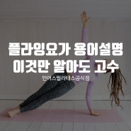 플라잉요가 용어 설명 10개만 알아도 마스터