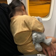 23개월 아기랑 해외여행 #1 / 나트랑 여행 준비 / 나트랑 제주항공 꿀팁!!