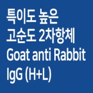 643호-특이도 높은 고순도 2차항체 Goat anti Rabbit IgG (H+L)