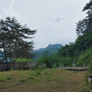 인천,서울,부산,강원도 절에서