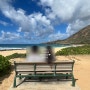 코고씌네의 6박8일 하와이 신혼여행기 2일차-하와이를 전체적으로 둘러보는 오하우섬투어. (feat. 팜투어 헤일리)