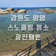 강원도 양양 아이들과 가볼만한 스노쿨링 명소 광진해변 주차, 수심 깊은 곳, 샤워장