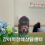 문산 강아지죽으면 추억과 함께 사는 법을 가르쳐준 당신 강아지화장스톤