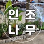 대형 올리브 인조나무, 남양주 강남식탁 실내 화단조경 시공