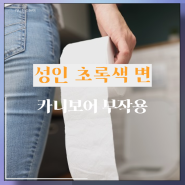 성인 초록색 변 변비 저탄고지 키토제닉 카니보어 식단