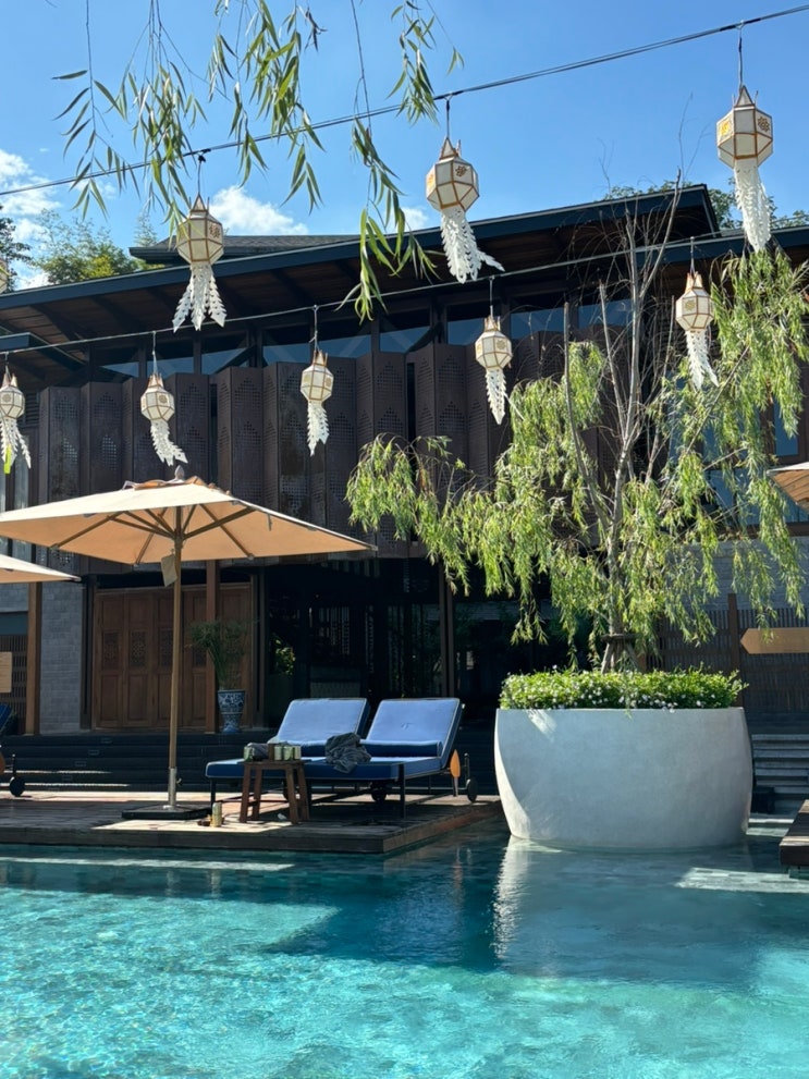 [치앙마이 숙소] 알린타 리트리트 - #4 수영장 & 웰니스 프로그램 리뷰 Aleenta Retreat Chiang Mai ...