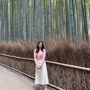 일본 교토 | 근교 아라시야마 치쿠린 가는법, 관광지 스팟 총정리, 도게츠교