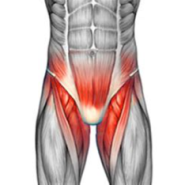 왼쪽 사타구니통증 고관절찝힘 관리방법