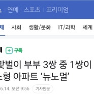 소형아파트 뉴노멀, 딩크족 때문에 인기있다고? 진실일까