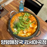 마곡 이대서울병원 맛집 양평해장국 강서마곡점 곱창전골