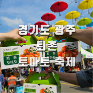 경기도 광주 아이들과 가볼만한곳 2024 퇴촌 토마토축제 일정 후기 화장실 주차장