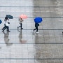 작년보다 빨라진 폭염,올해 장마기간 시작 시기 🌂