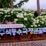 공주 유구색동수국정원꽃축제 수국 만개, 주차정보
