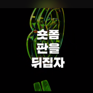 2024 하반기 네이버 클립 크리에이터 지원 누구나 가능한가요?