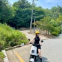 부산 전동 오토바이 대여 ‘단디바이크’ 내돈내산 후기