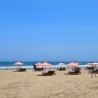 발리 스미냑 해변 바다 페티텐겟 비치 Petitenget Beach