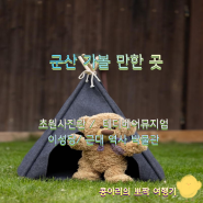 군산 가볼 만한 곳 눈과 입이 행복해지는 명소들